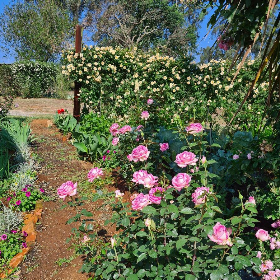 Piccadilly Farm Cottages Lions River Bagian luar foto