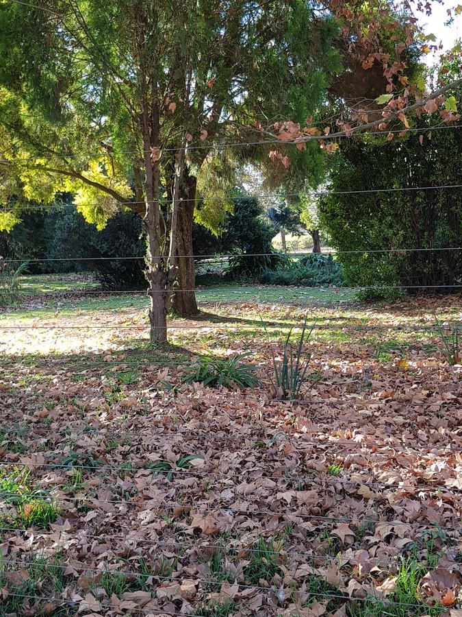 Piccadilly Farm Cottages Lions River Bagian luar foto