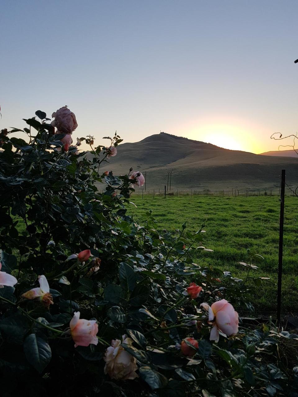 Piccadilly Farm Cottages Lions River Bagian luar foto