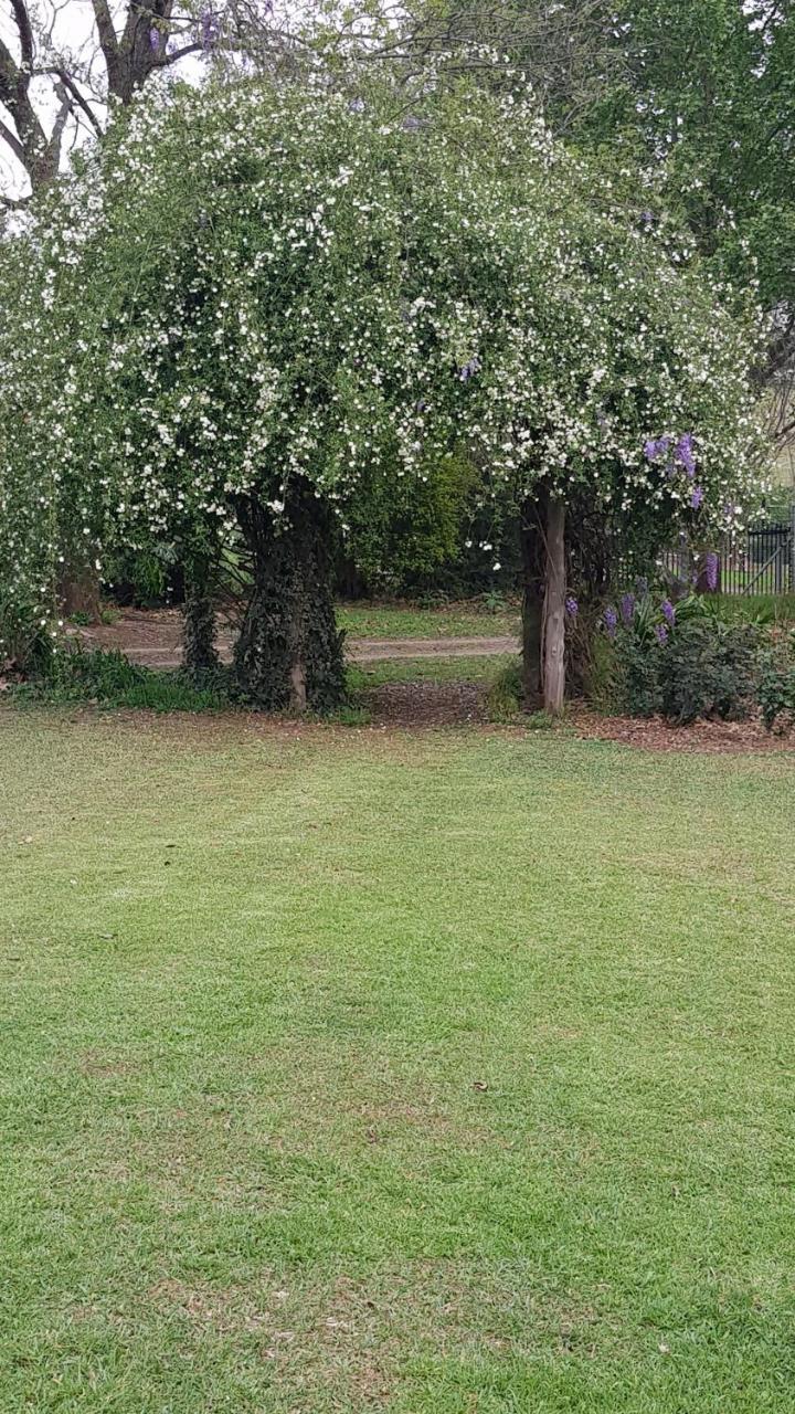 Piccadilly Farm Cottages Lions River Bagian luar foto