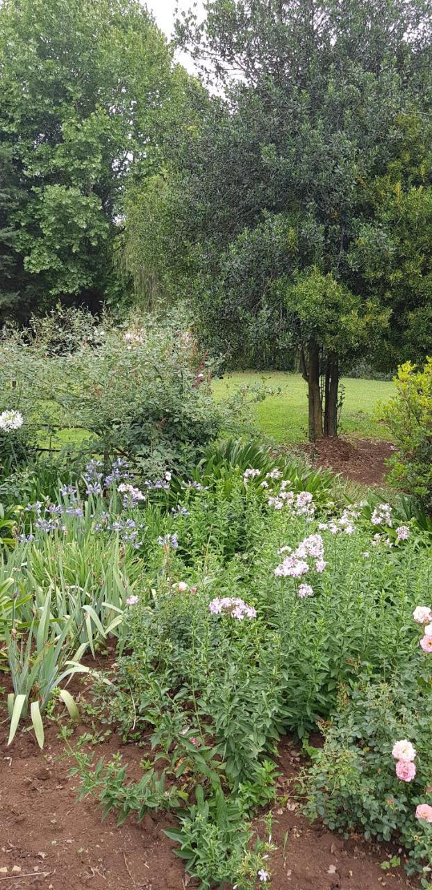 Piccadilly Farm Cottages Lions River Bagian luar foto