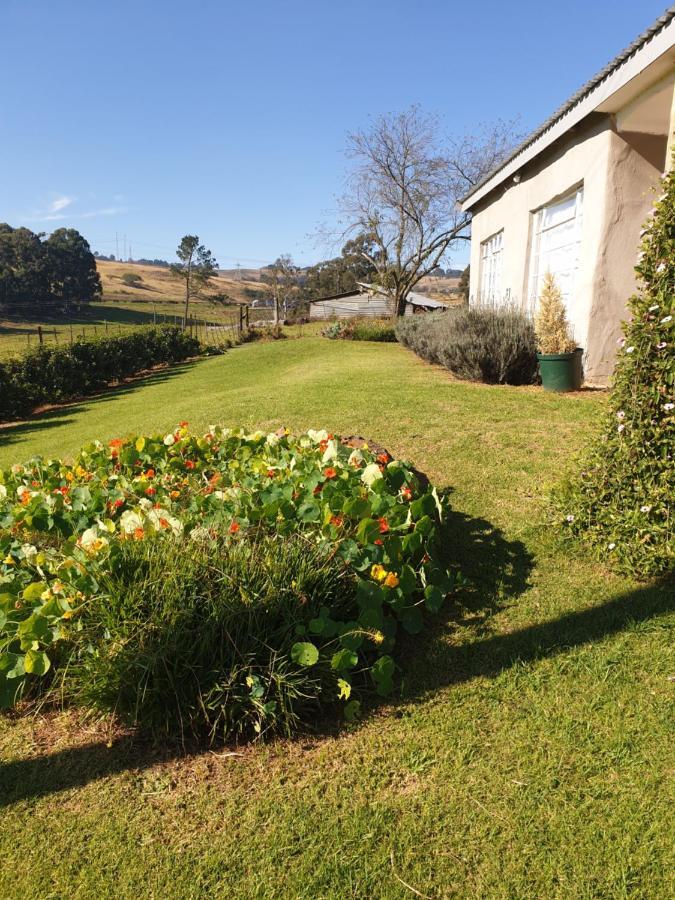 Piccadilly Farm Cottages Lions River Bagian luar foto